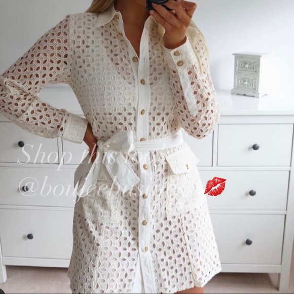 ZARA BNWT Openwork Embroidered Dress with Cuffed Sleeve - Picture 6 of 13